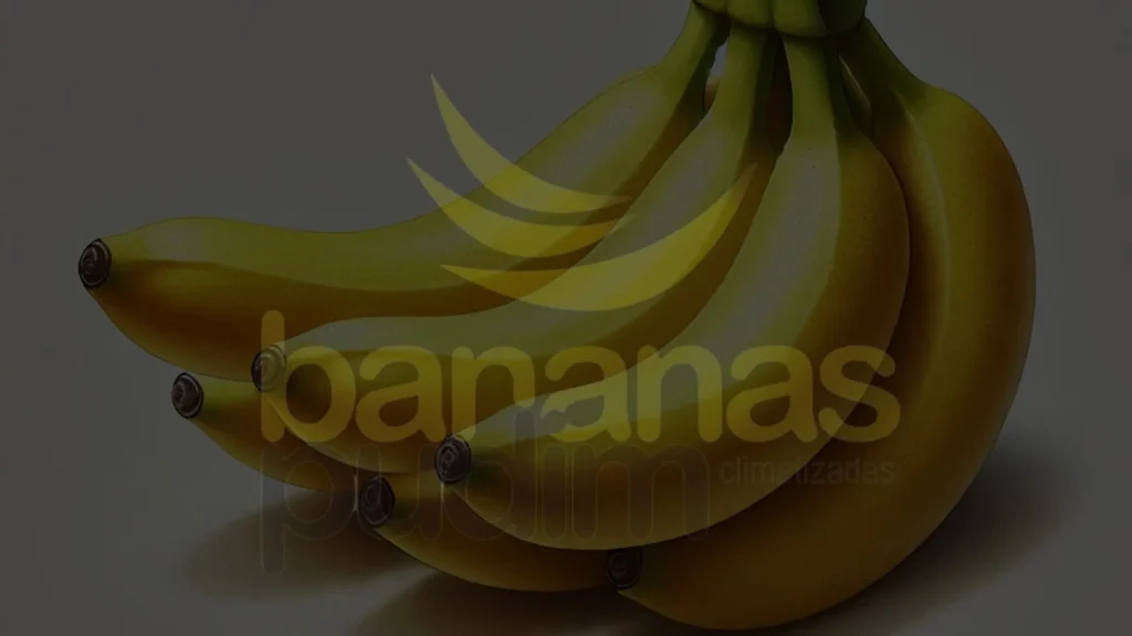 Banana Prata
