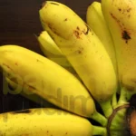Banana Ouro